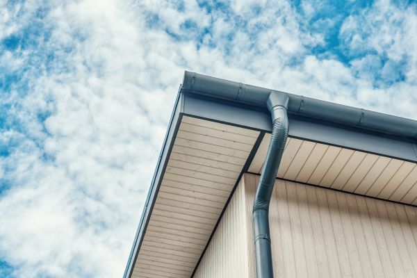 Gutter Fascia Repair in Albany