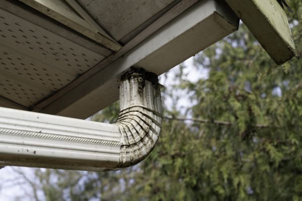 Cost of Roof Drain Replacement in Albany