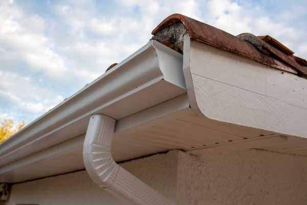 Cost of K Style Gutter Replacement in Albany