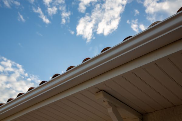 Cost of K Style Gutter Installation in Albany
