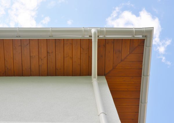 Cost of Downspout Diverter Service in Albany